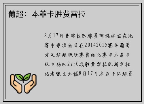 葡超：本菲卡胜费雷拉