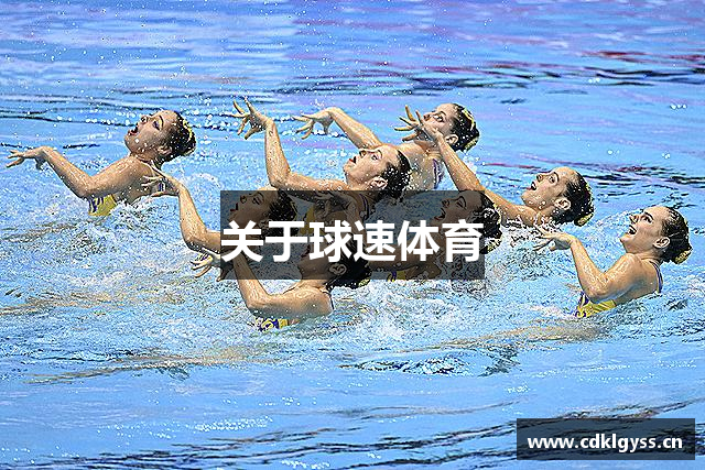 关于球速体育